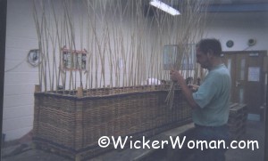 weaving-willow-coffins-England-Somerset3 weaving-willow-coffins-England-Somerset-Willow Co