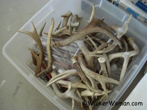 antlers-for-basketmaking