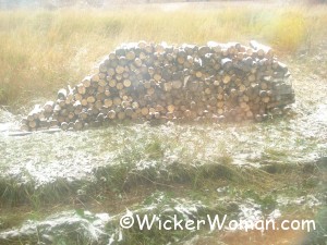1st snow on the woodpile 10-5-12