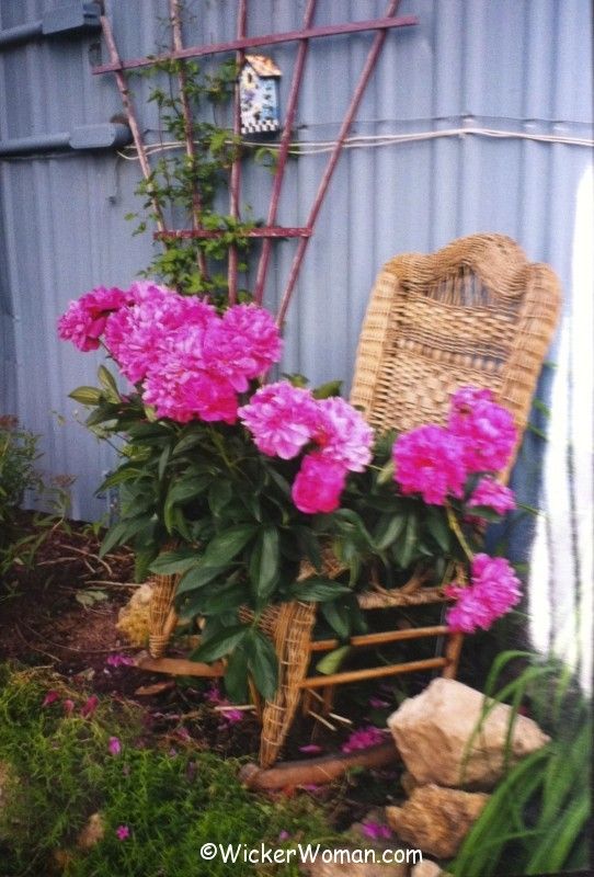 wicker rocker plant support