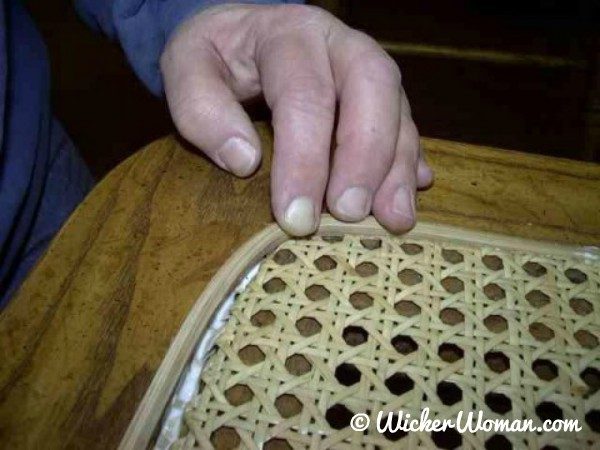 reed spline applied to webbing