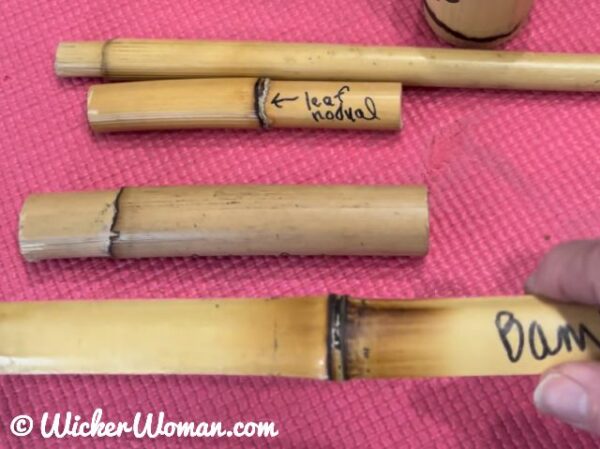 Bamboo has very pronounced and distinctive leaf nodes.