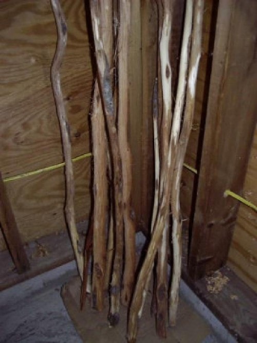 Several diamond willow poles with bark removed sitting in a corner. 