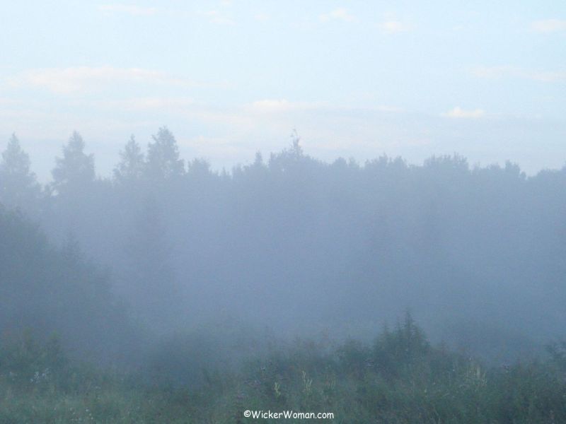 early morning fog angora 7-13