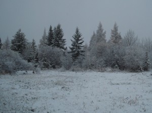 first snow fall of 2011