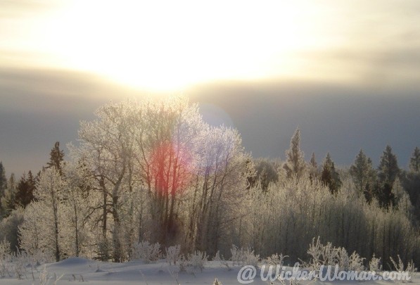 Frosty sunrise in the swamp and bog in Angora, Minnesota. 