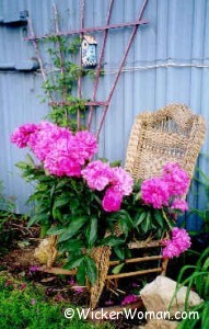 antique wicker as garden plant support