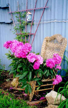 wicker rocker plant stand