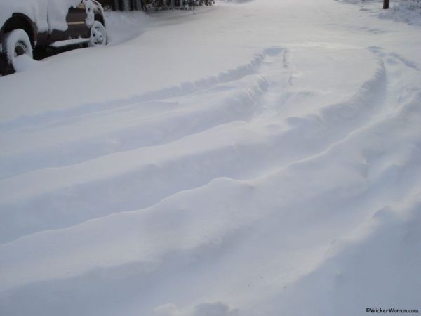 snow car tracks
