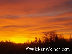 sunrise-Angora-MN12-2012