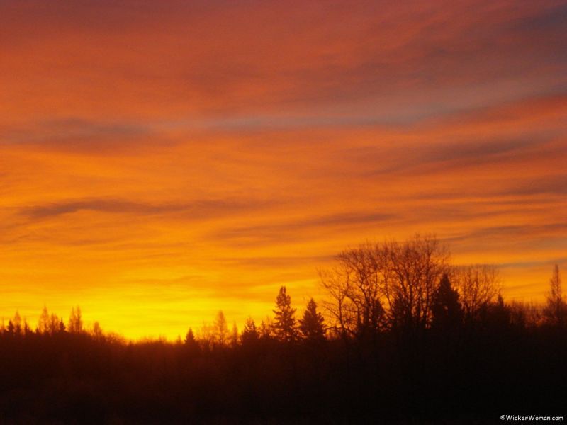 sunrise-Angora-MN12-2012