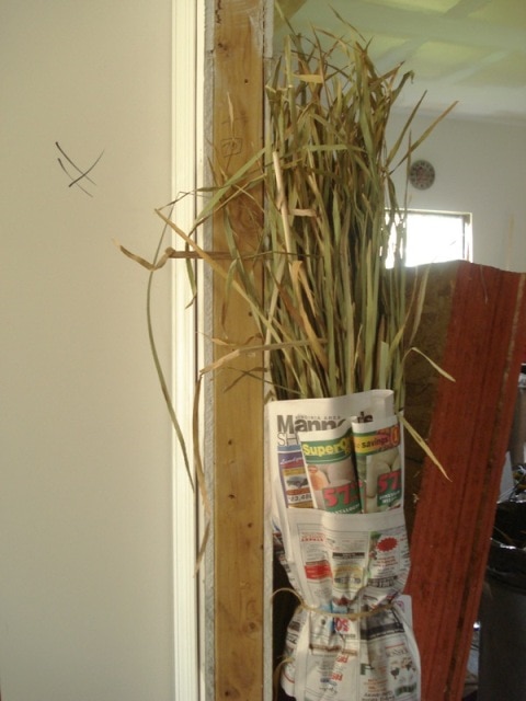 Dried cattail leaves bundled and ready for storage.